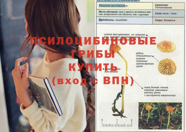 дживик Баксан