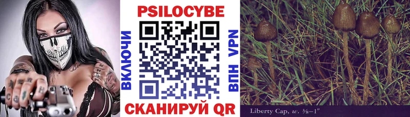 Галлюциногенные грибы мицелий  Купить  Исилькуль 